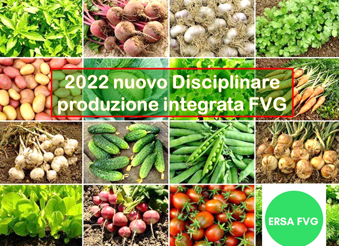 disciplinare produzione integrata 2022