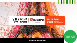 Wine Paris - Vinexpo Paris