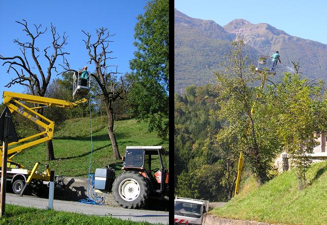 Colpo di fuoco batterico