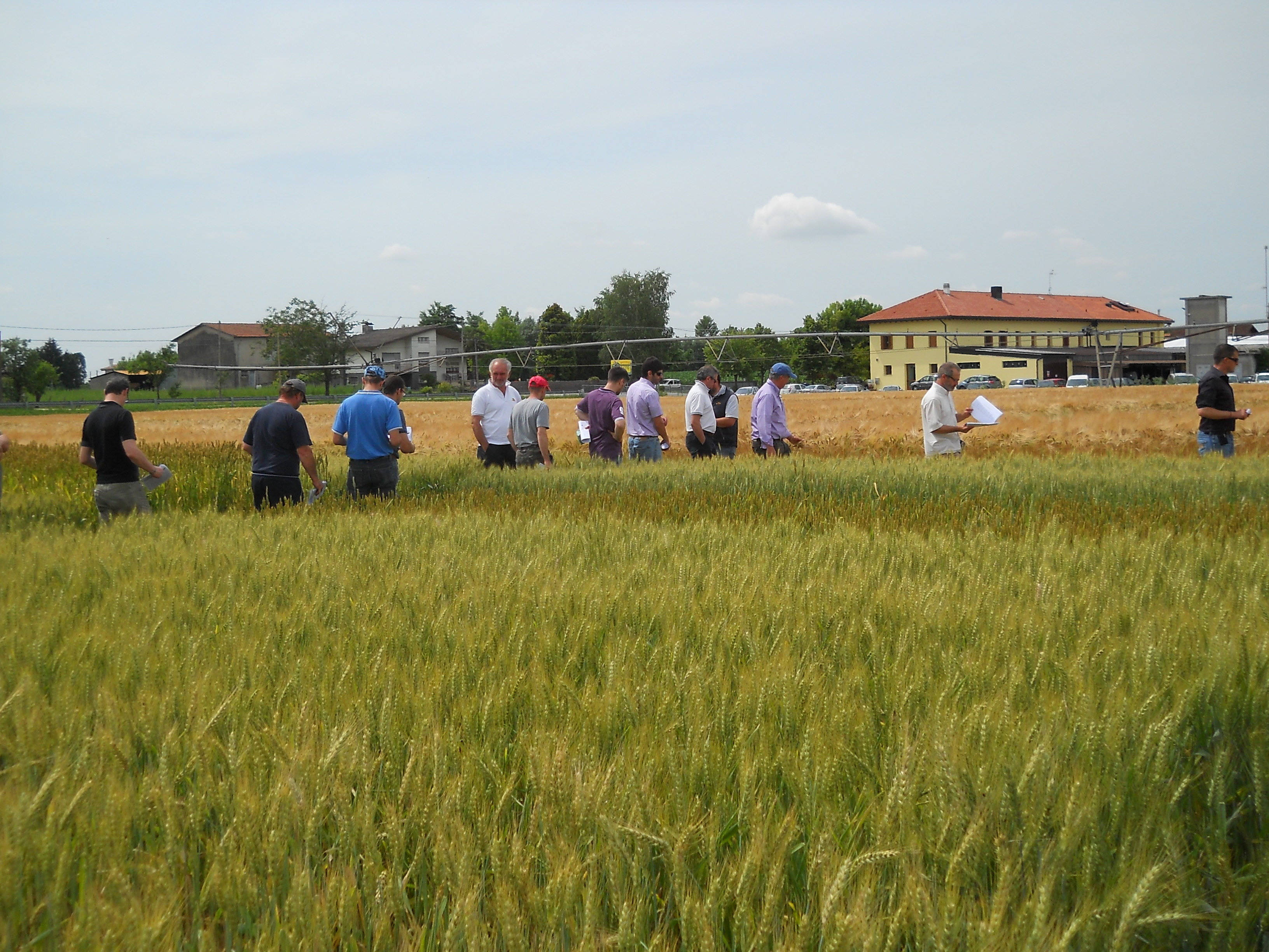 Visita ai campi sperimentali di Fiume Veneto