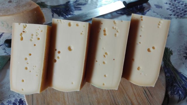 Formaggio "tipo Latteria" 1