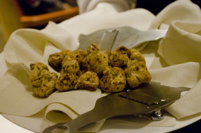 Tartufo bianco Muzzana