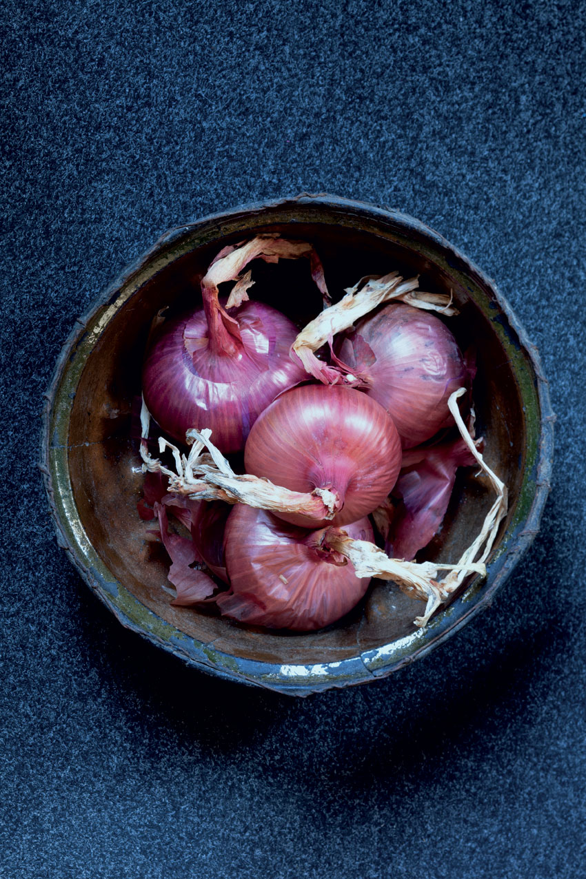 Cipolla rosa della Val Cosa, Cipolla rosa di Castelnovo del Friuli e Cavasso Nuovo 